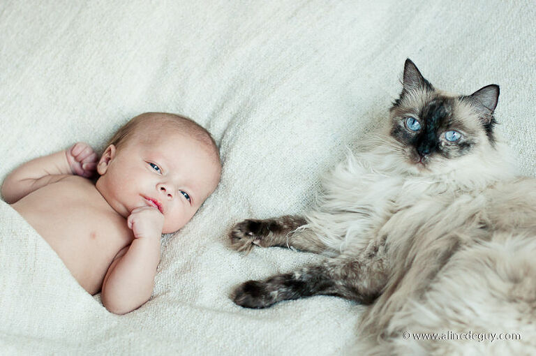 Aline Deguy, photographe aline deguy, photographe bébé 91, photographe bébé 92, photographe bébé 94, photographe bébé 95, photographe bébé boulogne, photographe bébé nanterre, photographe bébé neuilly, photographe bébé paris, photographe bébé puteaux, photographe bébé rueil, photographe bébé suresnes, photographe jumeaux 91, photographe jumeaux 92, photographe jumeaux 94, photographe jumeaux 95, photographe montpellier, Photographe Nîmes, photographe nouveau né 34, photographe nouveau né à domicile, photographe nouveau né montpellier, photographe nouveau-né, photographe nouveau-né 91, photographe nouveau-né 92, photographe nouveau-né 94, photographe nouveau-né 95, photographe nouveau-né boulogne, photographe nouveau-né puteaux, photographe nouveau-né rueil, séance photo à domicile nouveau-né