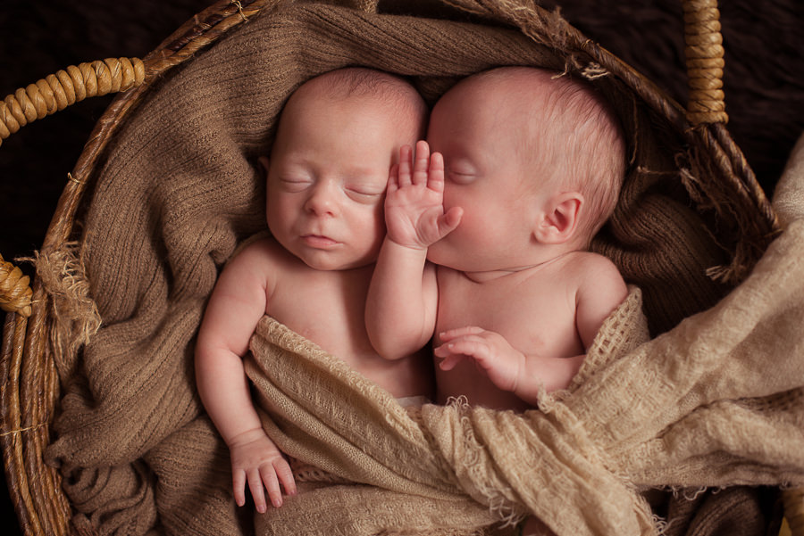 photo bébé, jumeaux, photographe spécialiste nouveau-né, aline deguy, studio, Paris, 92, 91, 93, 94, 95, 77, 78, 60