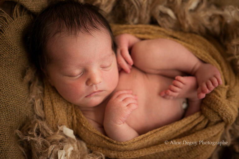 Photo, bébé, endormi, Anne Geddes, Aline Deguy