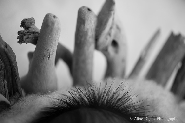 photo bébé, cheveux de bébé