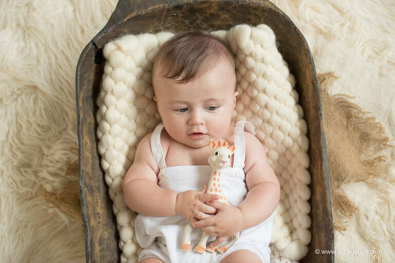 girafe sophie, bébé, photo