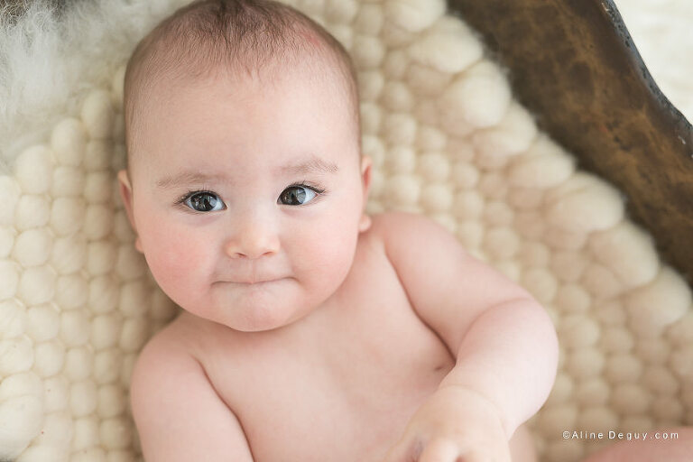 Photographe bébé 95